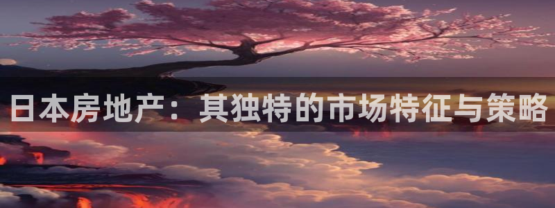 新宝cR一5：日本房地产：其独特的市场特征与策略
