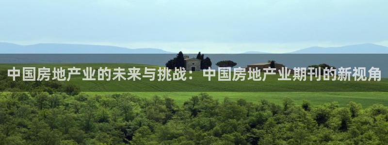 新宝5直属：中国房地产业的未来与挑战：中国房地产业期刊的新视