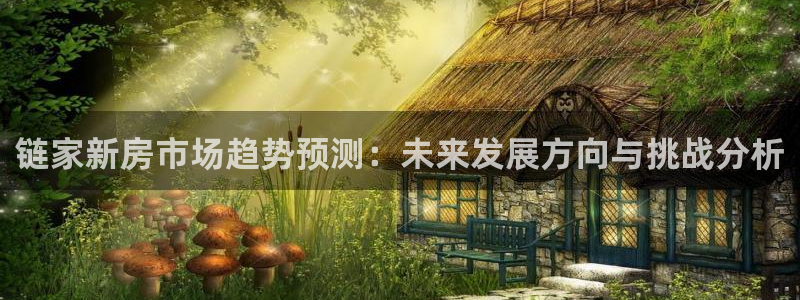 新宝5招商：链家新房市场趋势预测：未来发展方向与挑战分析