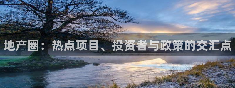 新宝5登录平台：地产圈：热点项目、投资者与政策的交汇点