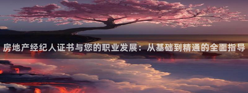 新宝5登录网址：房地产经纪人证书与您的职业发展：从基础到精通