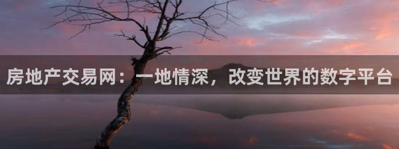 新宝5平台登录下载软件：房地产交易网：一地情深，改变世界的数