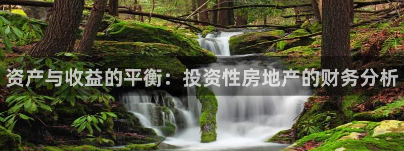 新宝5链接：资产与收益的平衡：投资性房地产的财务分析