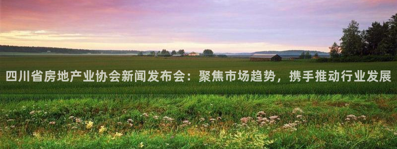 新宝5网站：四川省房地产业协会新闻发布会：聚焦市场趋势，携手