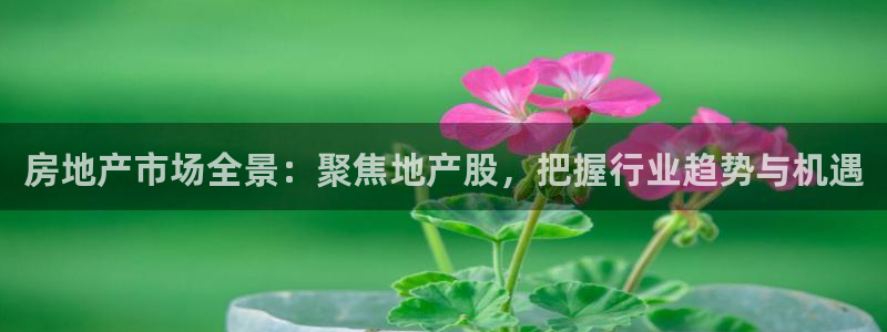 新宝5郑74OOO5：房地产市场全景：聚焦地产股，把握行业趋