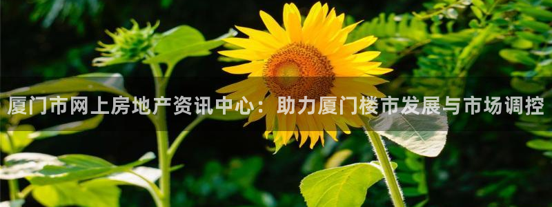 新宝5平台注册公司：厦门市网上房地产资讯中心：助力厦门楼市发