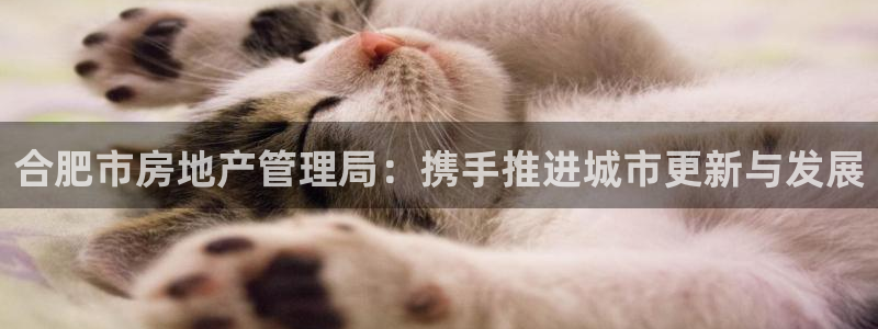 新宝5娱乐都：合肥市房地产管理局：携手推进城市更新与发展