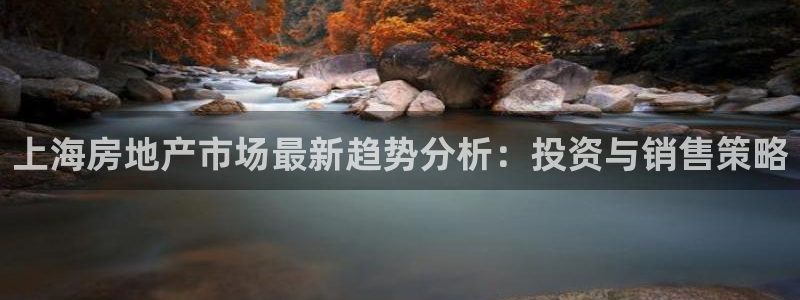 新宝5王问74OOO5：上海房地产市场最新趋势分析：投资与销