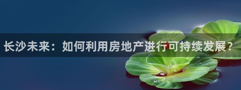新宝5登录地址：长沙未来：如何利用房地产进行可持续发展？