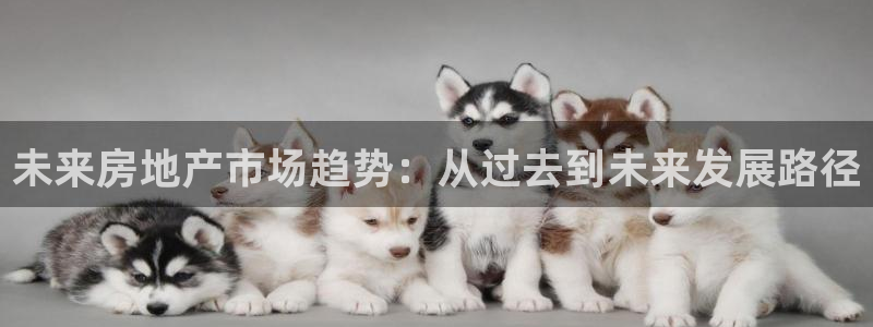 新宝5为啥开：未来房地产市场趋势：从过去到未来发展路径