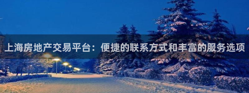 新宝5测：上海房地产交易平台：便捷的联系方式和丰富的服务选项