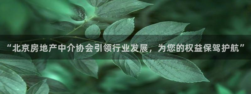 新宝5手机测速：“北京房地产中介协会引领行业发展，为您的权益