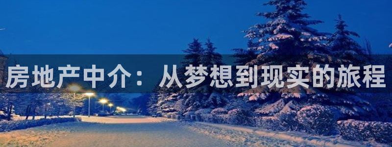 新宝5平台登录：房地产中介：从梦想到现实的旅程