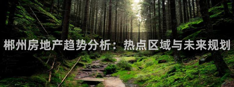 新宝5测：郴州房地产趋势分析：热点区域与未来规划