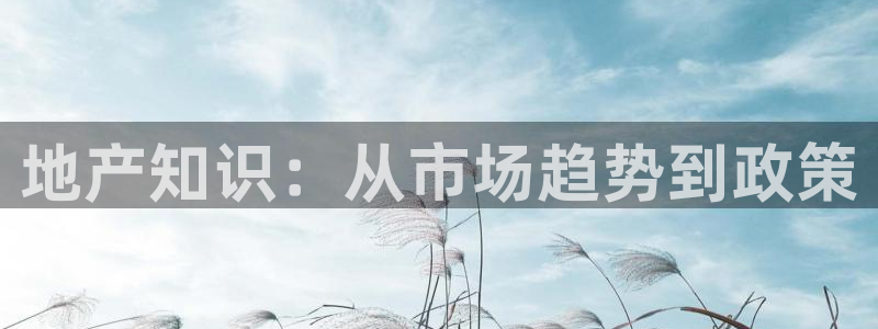 新宝5安卓版：地产知识：从市场趋势到政策