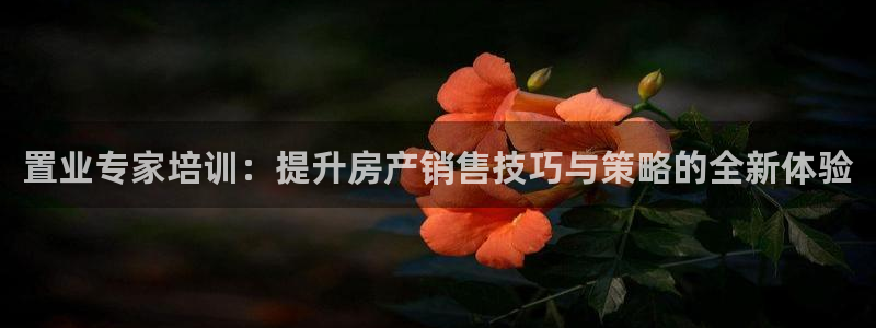 新宝5官方登录入口：置业专家培训：提升房产销售技巧与策略的全