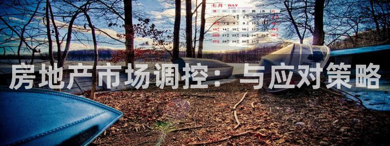 新宝5测速在线：房地产市场调控：与应对策略