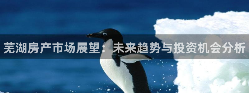 新宝5注册：芜湖房产市场展望：未来趋势与投资机会分析