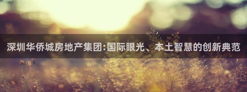 新宝5注册账号：深圳华侨城房地产集团:国际眼光、本土智慧的创