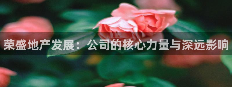 新宝5登录入口网址：荣盛地产发展：公司的核心力量与深远影响