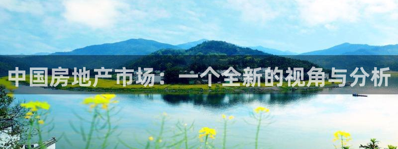 新宝股东王听2 5 5：中国房地产市场：一个全新的视角与分析
