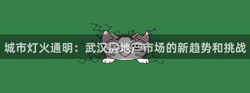 新宝5账号注册：城市灯火通明：武汉房地产市场的新趋势和挑战