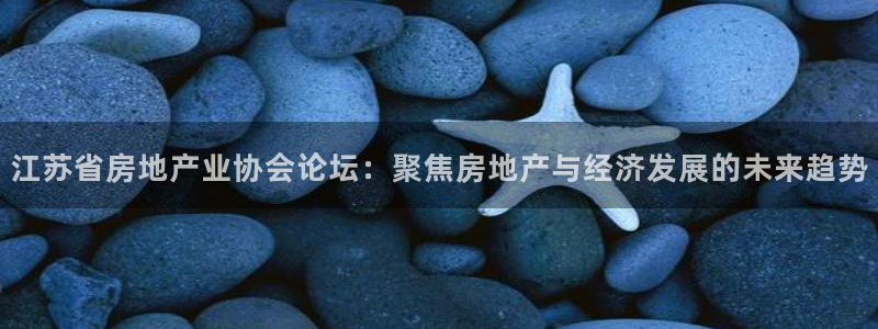 新宝5地址：江苏省房地产业协会论坛：聚焦房地产与经济发展的未