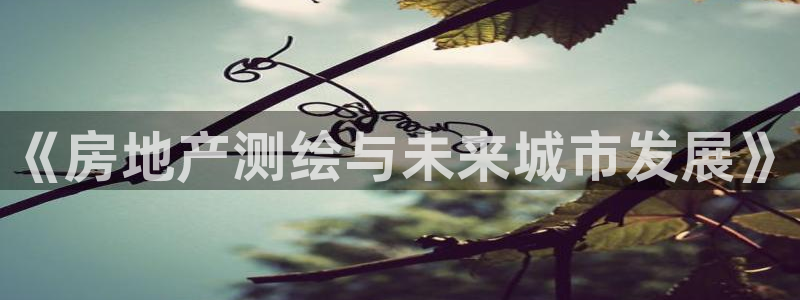 新宝5测试：《房地产测绘与未来城市发展》