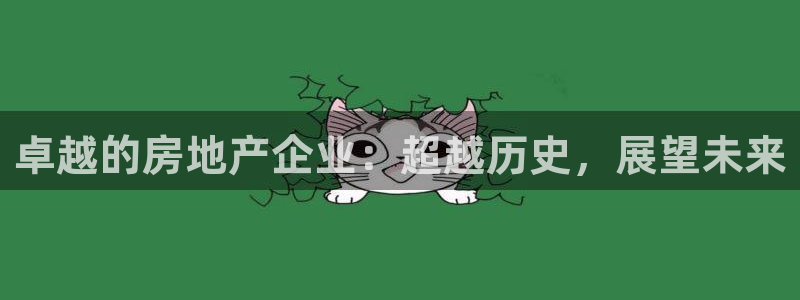 新宝测速5：卓越的房地产企业：超越历史，展望未来