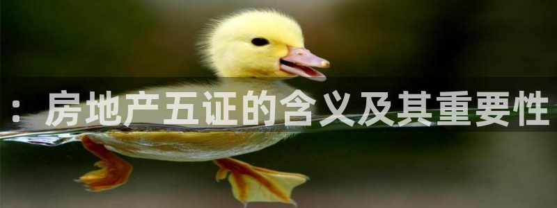 新宝5官方下载地址：：房地产五证的含义及其重要性