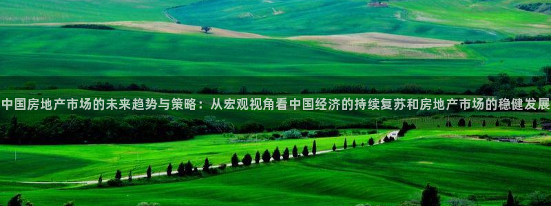 新宝5手机平台登陆：中国房地产市场的未来趋势与策略：从宏观视