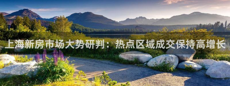 新宝5手机版：上海新房市场大势研判：热点区域成交保持高增长