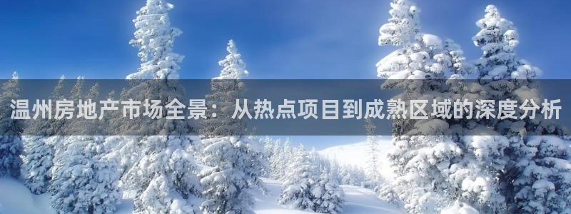 新宝5是谁的：温州房地产市场全景：从热点项目到成熟区域的深度