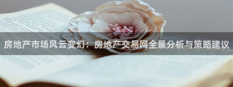 新宝5侹刔：房地产市场风云变幻：房地产交易网全景分析与策略建