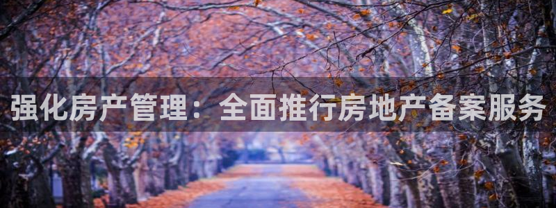 新宝5台卡：强化房产管理：全面推行房地产备案服务