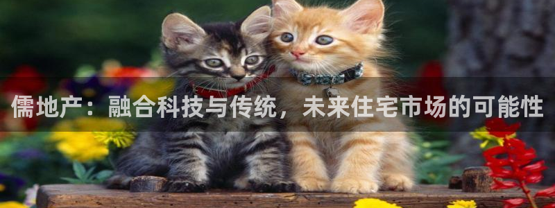 新宝5登录平台：儒地产：融合科技与传统，未来住宅市场的可能性