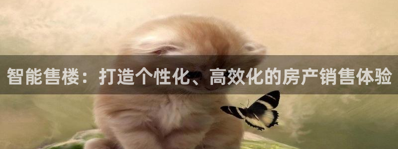 老新宝5授权登录：智能售楼：打造个性化、高效化的房产销售体验