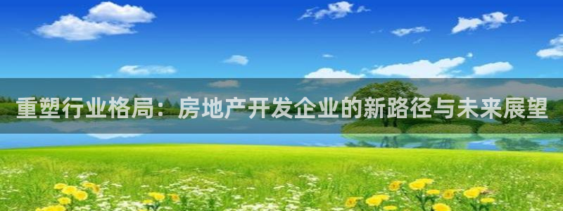 新宝5平棋牌：重塑行业格局：房地产开发企业的新路径与未来展望