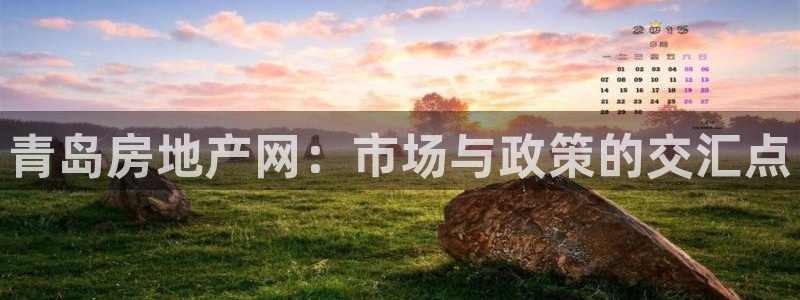 新宝5平台登录下载软件：青岛房地产网：市场与政策的交汇点
