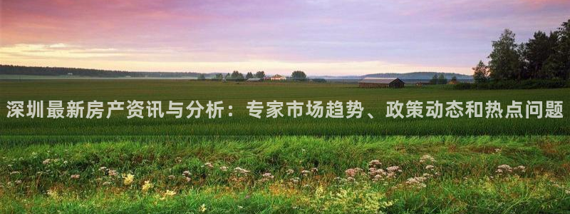 新宝5登录平台：深圳最新房产资讯与分析：专家市场趋势、政策动