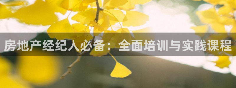 新宝5平台注册公司：房地产经纪人必备：全面培训与实践课程