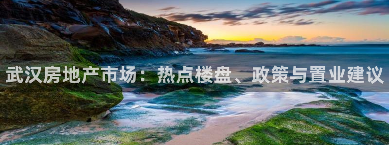 新宝5策略：武汉房地产市场：热点楼盘、政策与置业建议