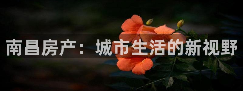 新宝娱乐5：南昌房产：城市生活的新视野