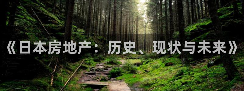 新宝那2O5O5O：《日本房地产：历史、现状与未来》