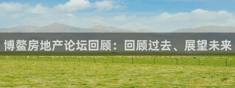 新宝5秒开：博鳌房地产论坛回顾：回顾过去、展望未来