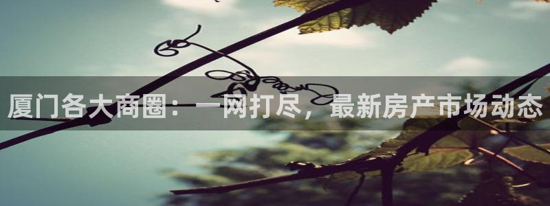 新宝5电脑：厦门各大商圈：一网打尽，最新房产市场动态