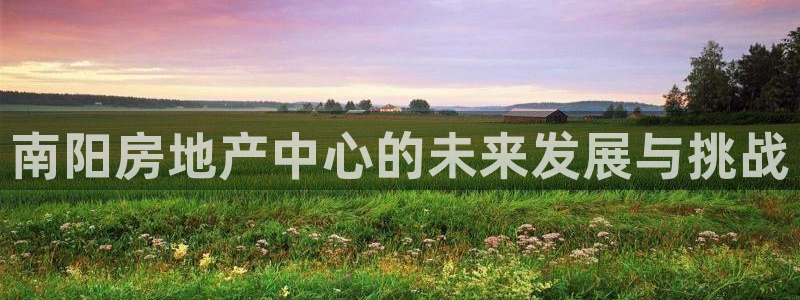 5新宝：南阳房地产中心的未来发展与挑战