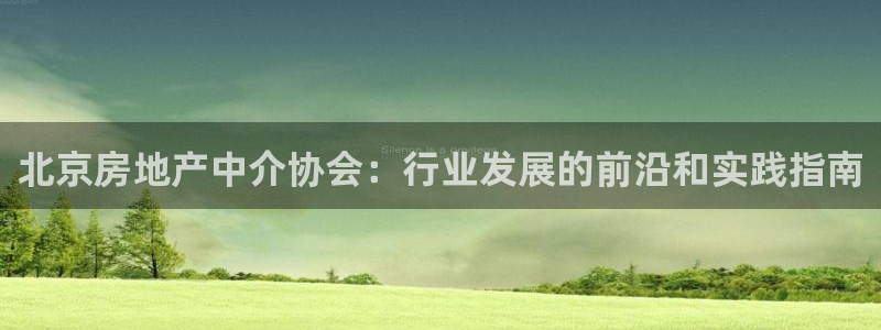 新宝5测速平台登录：北京房地产中介协会：行业发展的前沿和实践