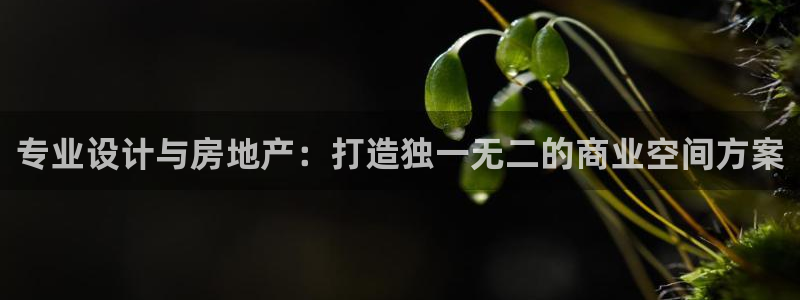 新宝5-：专业设计与房地产：打造独一无二的商业空间方案