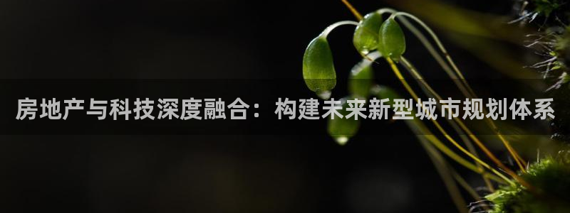 下载新宝5：房地产与科技深度融合：构建未来新型城市规划体系